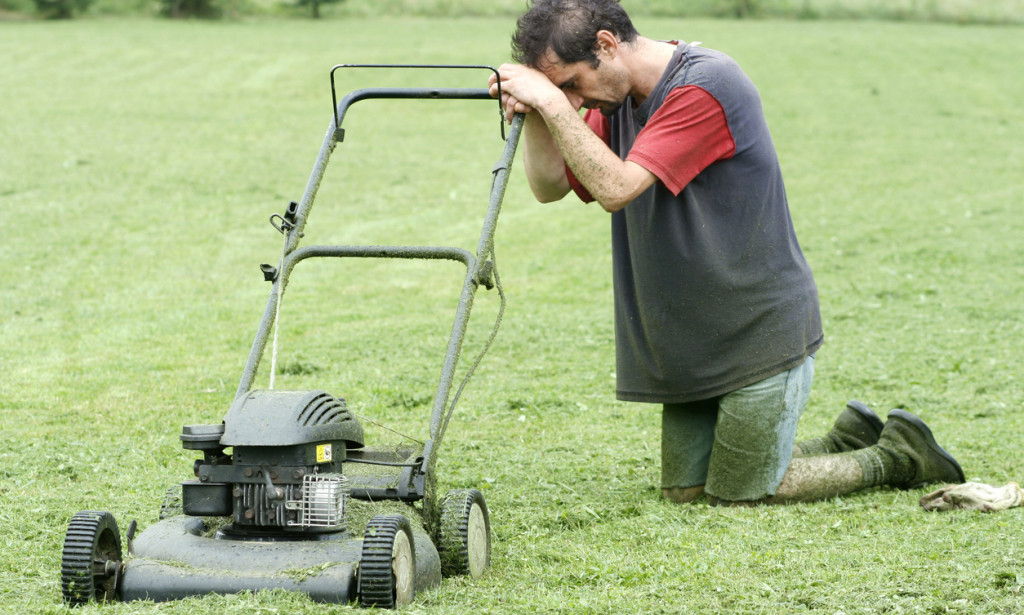 5 mistakes in lawn care that can ruin it forever