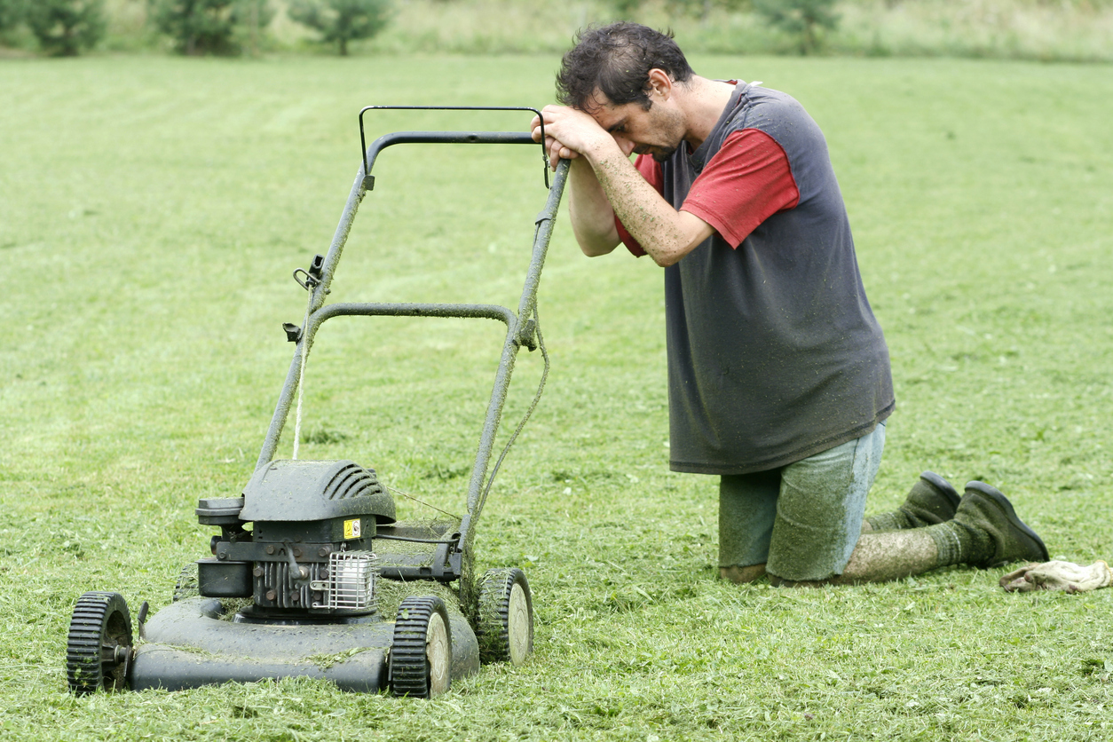 A good lawn will take a lot of time to create and maintain. A good lawn will take a lot of time to create and maintain.