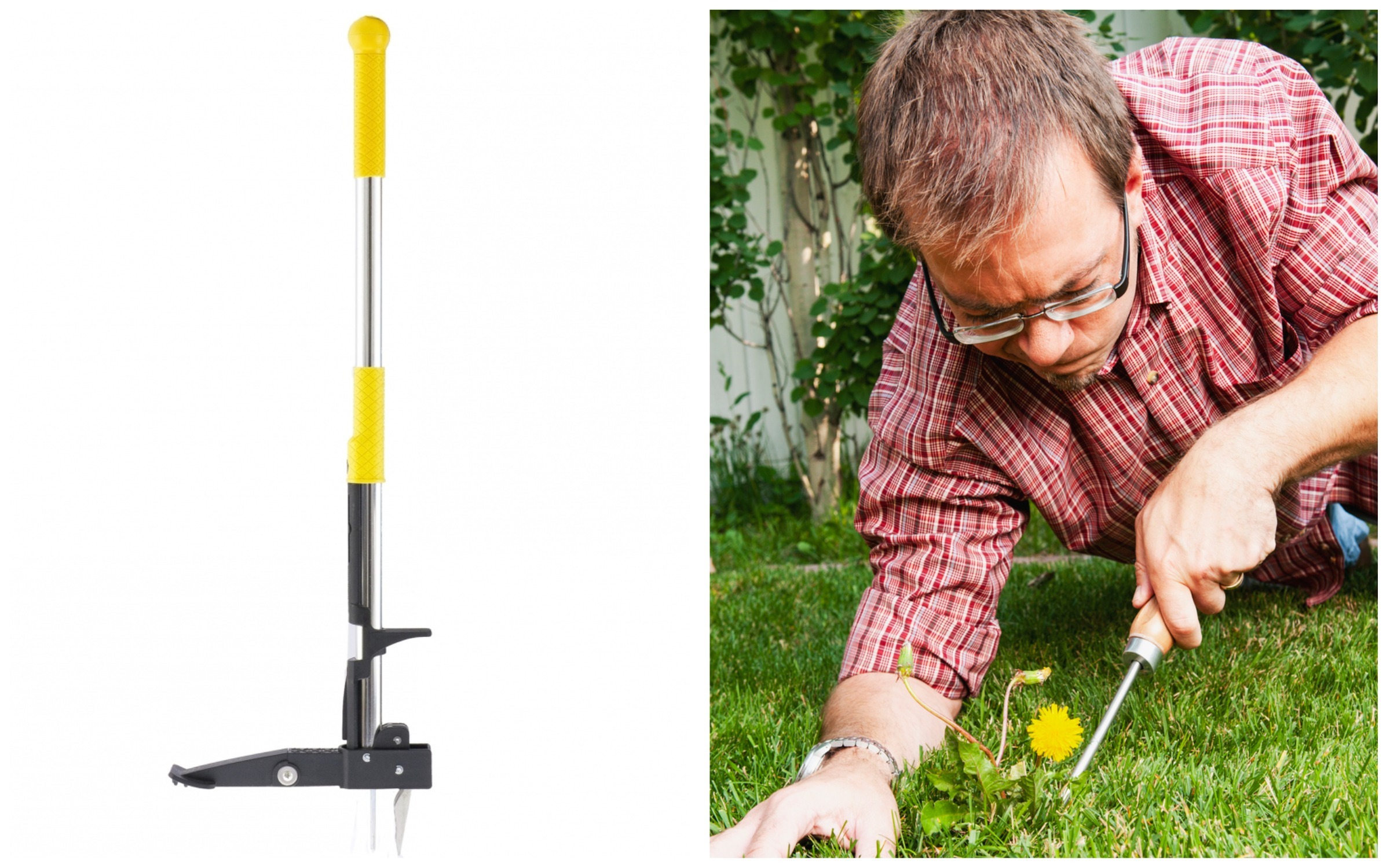 With a weed remover, weeding the lawn is no longer such a daunting and exhausting task With a weed remover, weeding the lawn is no longer such a daunting and exhausting task.
