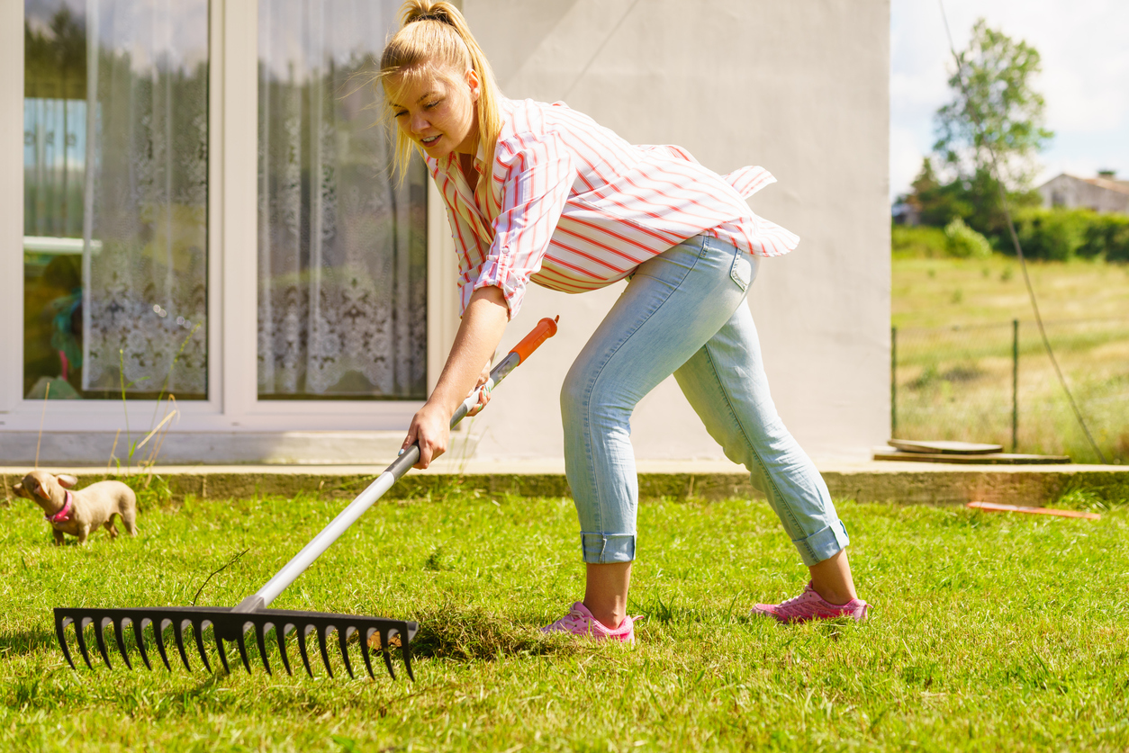Don't comb the lawn with a garden rake! Don't comb the lawn with a garden rake!